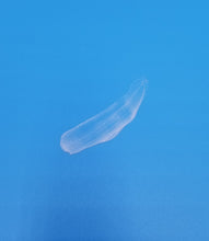 Load image into Gallery viewer, Time To Glow Up! Moisturizer